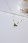 ΚΟΛΙΕ-ΛΙΒΕΛΟΥΛΑ-925